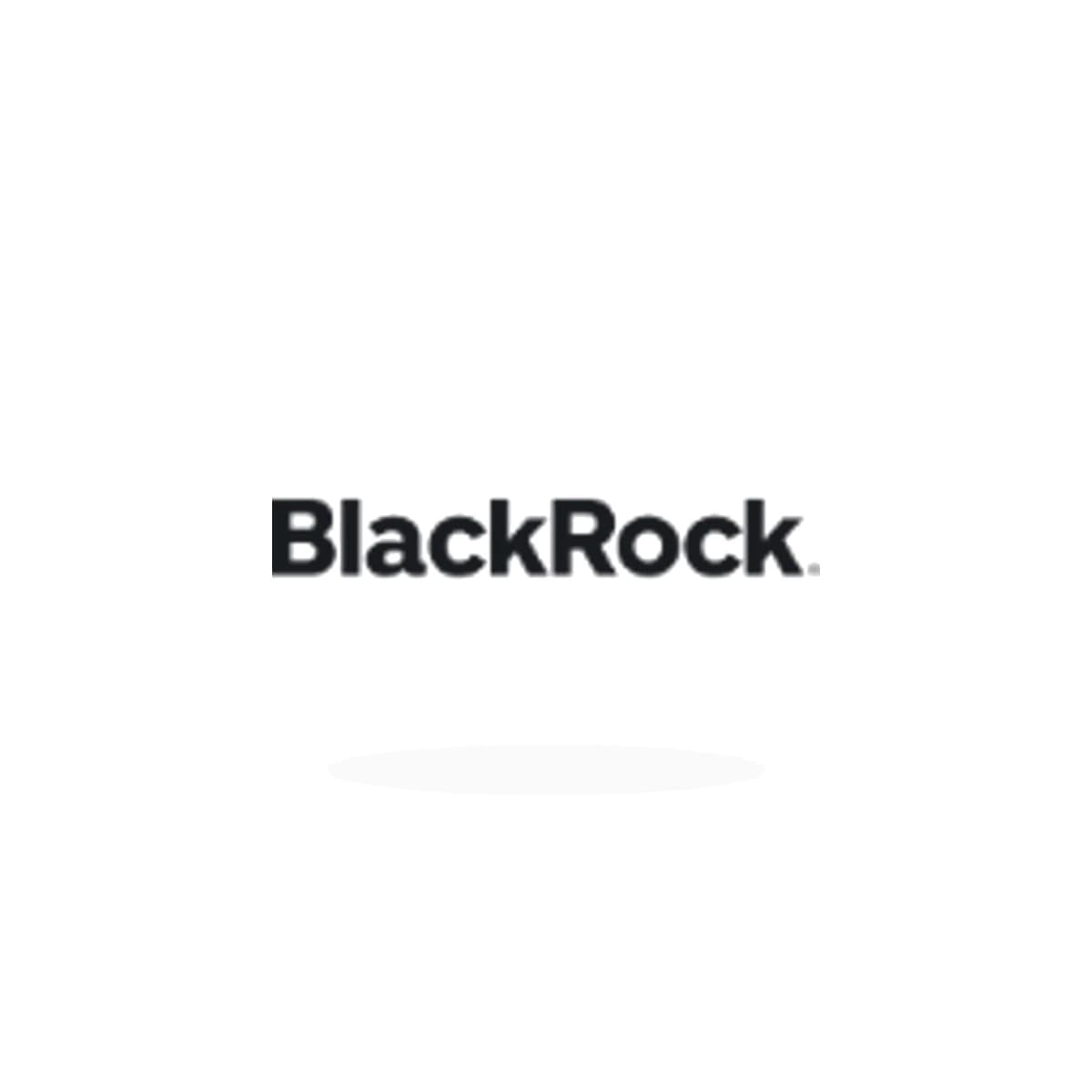 BLK Logo Sticker product view