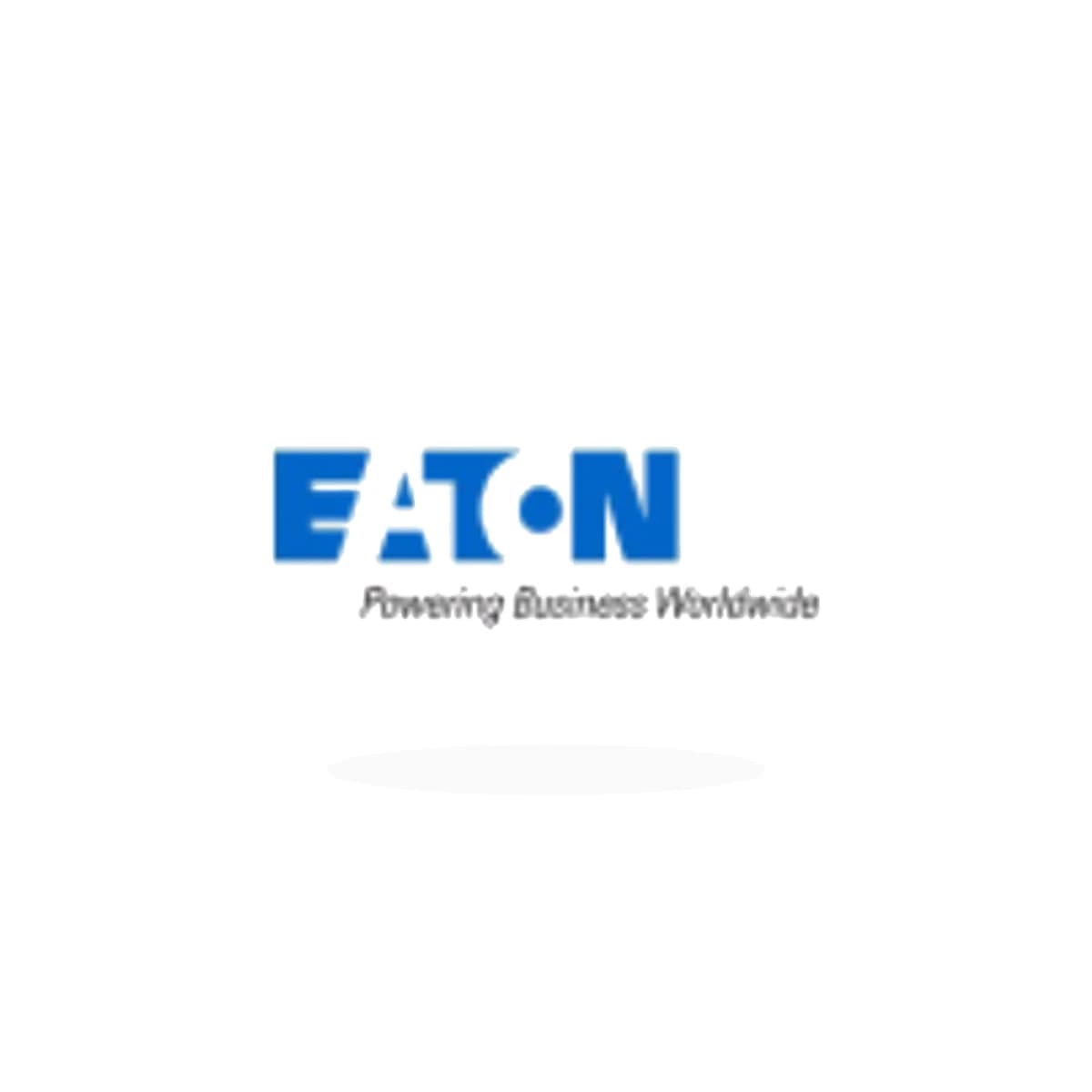 ETN Logo Sticker product view