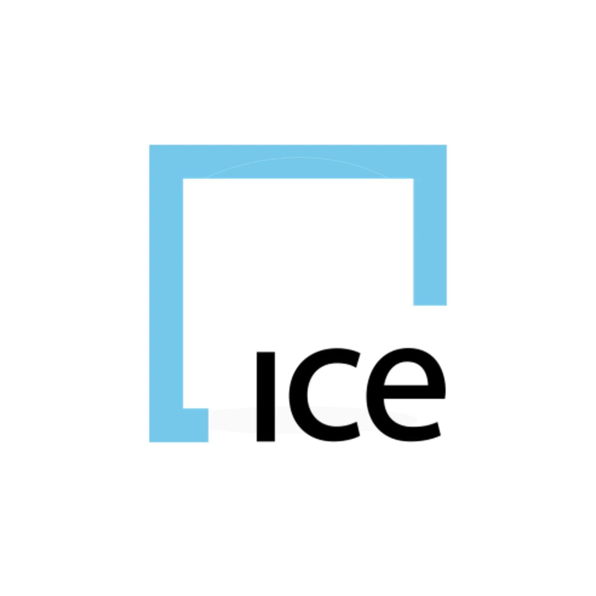 ICE Logo Sticker product view