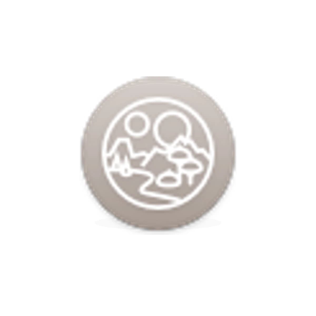 MANA Crypto Logo Sticker product view