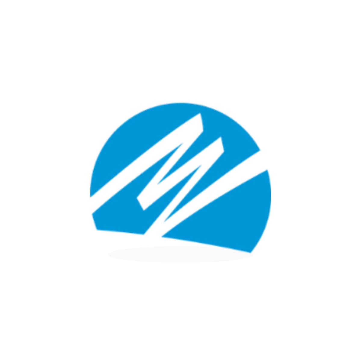 NEE Logo Sticker product view