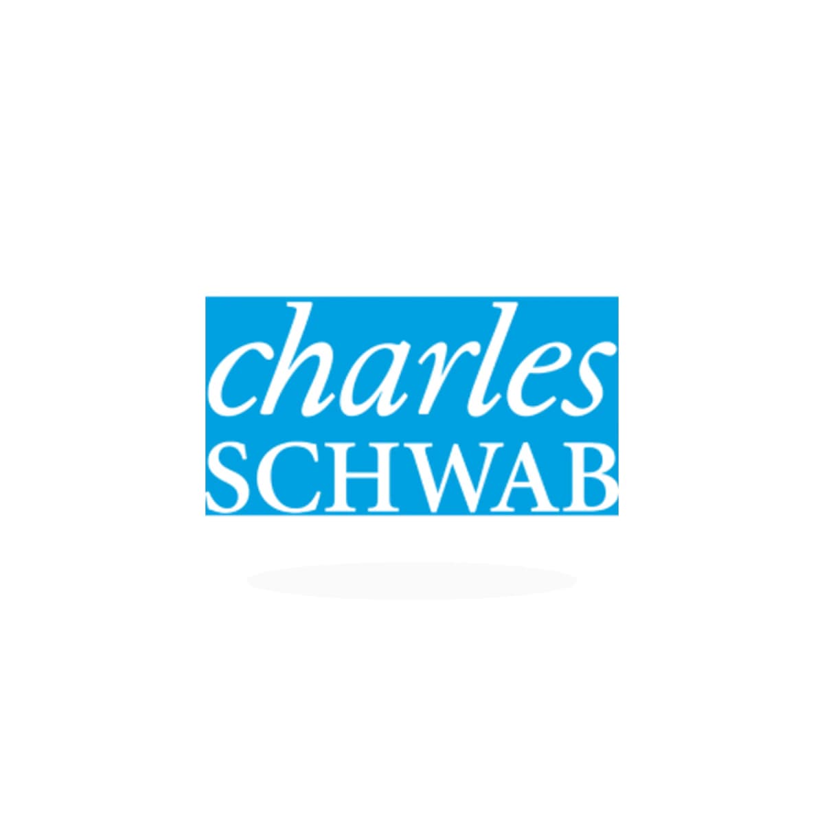 SCHW Logo Sticker product view